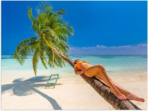 Poster Mat Vrouw In Gele Bikini Liggend Op Schuingroeiende Palmboom Op Tropisch Bol