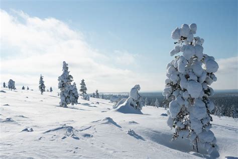 9 Reasons to Visit Lapland in Winter | Visit Finnish Lapland