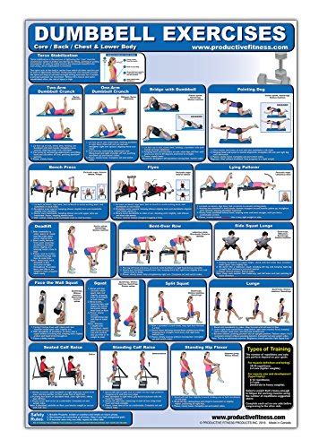 Laminated Dumbbell Exercise Poster Chart Lower Body Core Chest Back