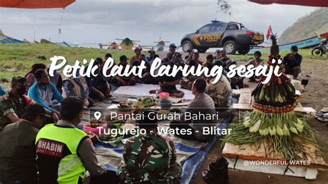 Petik Laut Pantai Gurah Bahari Wates Menegangkan Youtube