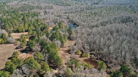 Twiggs County Ga 255 Acres Green Hill Land And Forestry