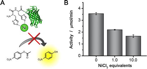 A Schematic Representation Of Inhibition Of The Esterase Activity Of