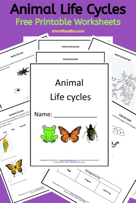 Free Printable Animal Life Cycle Worksheets