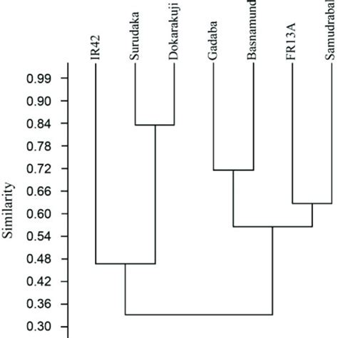 Dendrogram Showing Jackards Similarity Index Between Rice Genotypes