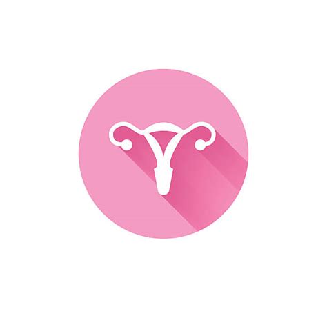 Royalty Free Ovary Clip Art Vector Images And Illustrations Istock