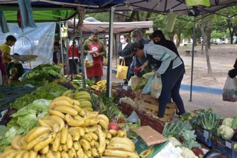 Ferias De La Ciudad Hoy En Plaza Torrent Corrientes Hoy