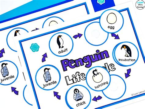 Printable Penguin Life Cycle Sequencing - Look! We're Learning!