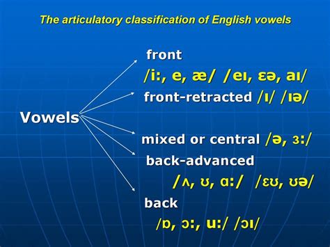 Articulatory Classification Of English Vowels Vowels Images And