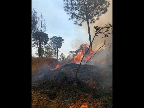 La Jornada Michoacán declara emergencia ambiental por sequía e incendios