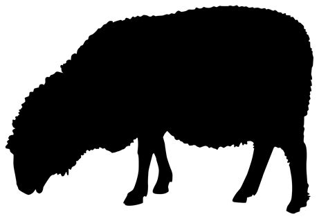 sheep silhouette png 10 free Cliparts | Download images on Clipground 2024