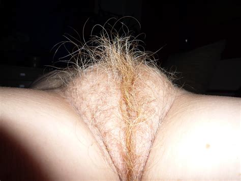 Blonde Pubic Hair Pussies 60 Photos Sex Pics