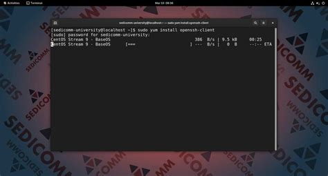 Conceptos básicos de Linux para redes y sistemas programables cómo