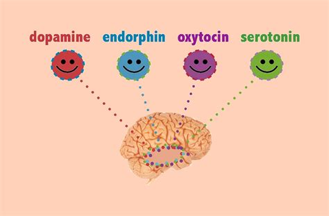 Endorphins - the hormone of relief