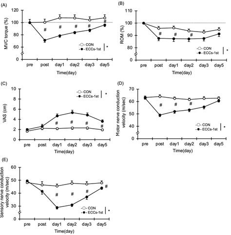 Changes Mean Se In Maximal Voluntary Isometric Contraction Torque