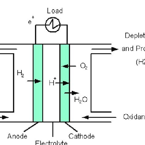 Schematic diagram of a PEMFC [6]. | Download Scientific Diagram