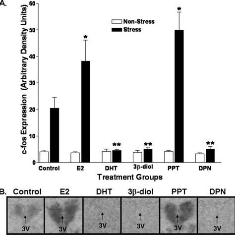 E2 And DHT Influence Restraint Induced C Fos MRNA Expression In The