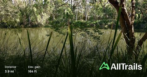 Thornlands Nature Links, Queensland, Australia - 7 Reviews, Map | AllTrails