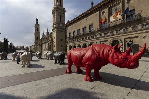 Fotos De Los Rinocerontes De Roberto Fabelo Que Toman La Plaza Del