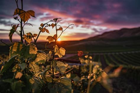 Farm Land during Sunset · Free Stock Photo