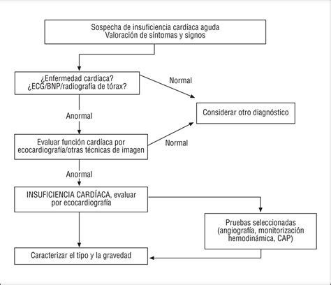 Guías De Práctica Clínica Sobre El Diagnóstico Y Tratamiento De La