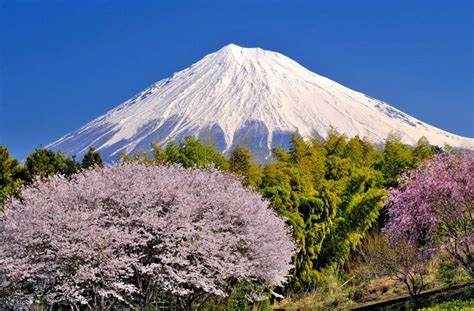 booking  mt fuji oshino hakkai  gotemba premium outlets