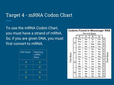 How To Use A Codon Chart