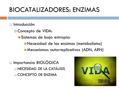 TEMA 5 BIOCATALIZADORES ENZIMAS Ppt Descargar