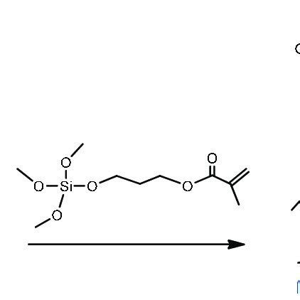 Scheme of the glass support silanization with the use of silane agent ...