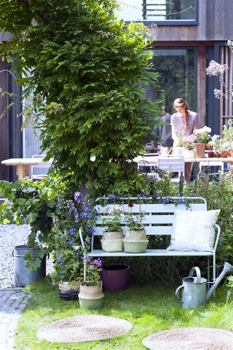 Les Plantes De Jardin Du Mois De Juin Les Plantes Vivaces Fleuries D