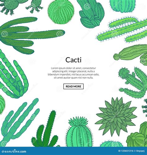 Vector Hand Drawn Wild Cacti Stock Vector Illustration Of Design