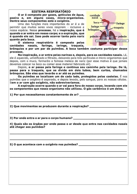 Exercícios Sobre Sistema Digestório Respiratório E Circulatório 5 Ano