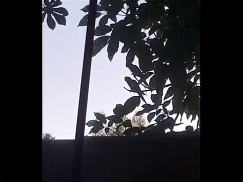 Gemendo Gostoso XVIDEOS