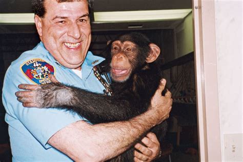 Travis the Menace: The Family Saga of Travis the Chimp