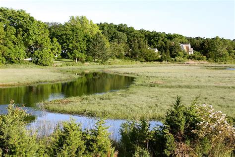 Salt Marshes Photograph By Robin Regan Fine Art America