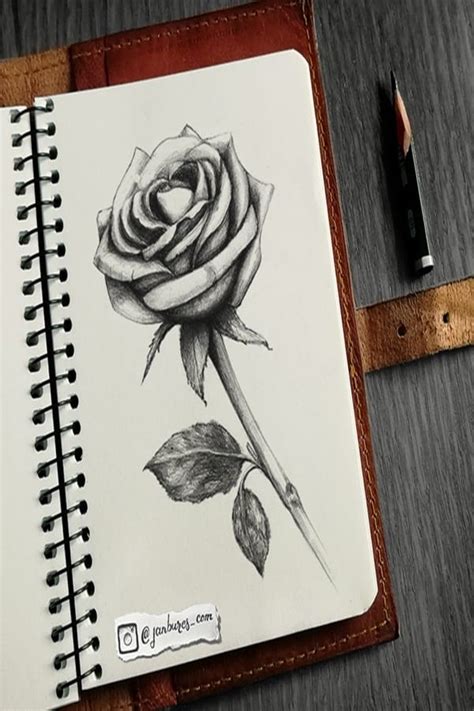 Beginner Easy Pencil Shading Drawings Of Flowers Take Down Corners