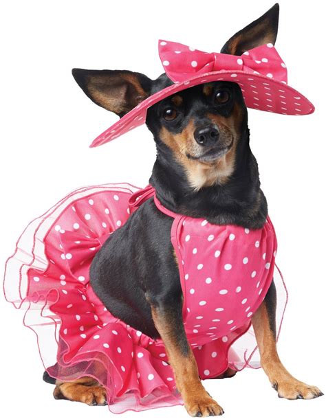 Pretty in Pink Dog Costume - Walmart.com