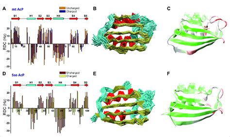 Microsecond Dynamics From NMR Residual Dipolar Couplings A N H RDCs