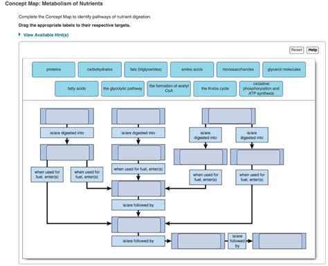 Digestion Concept Map