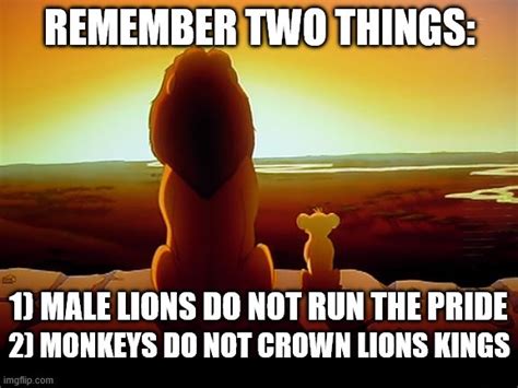 Funny Lion King Memes