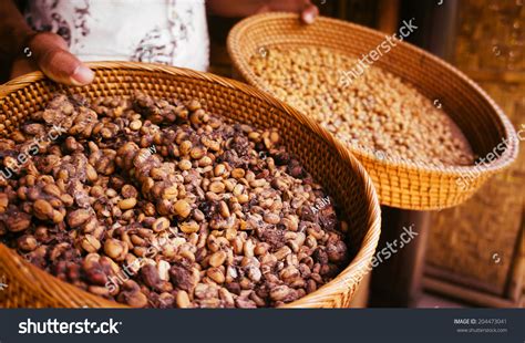 Kopi Luwak Stock Photo 204473041 | Shutterstock