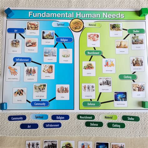 fundamental human   alisons montessori blog