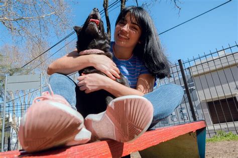 Joven Latina Sentada En Un Banco Con Su Perro Sonriendo Y Jugando En El Parque Foto Premium