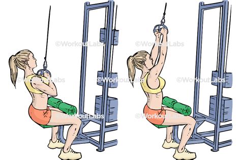 V-Bar / Triangle Bar Lat Pulldowns / Pull Downs / Pullovers ...