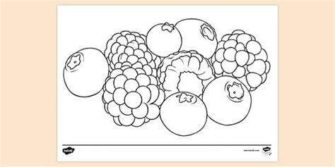 Free Berries Colouring Sheet Colouring Sheets Twinkl