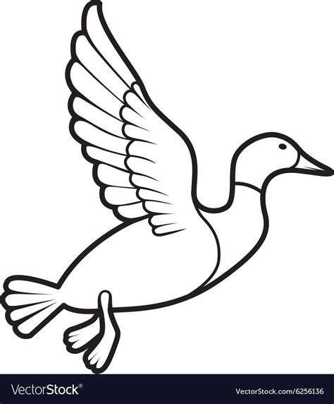 Flying duck Royalty Free Vector Image - VectorStock