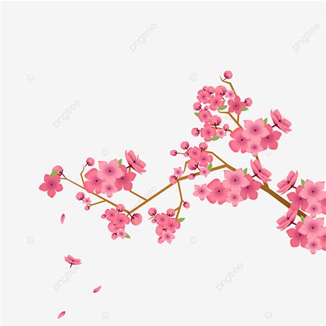 Cherry Blossom Petal Vector Art Png Cherry Blossom Petals Spring