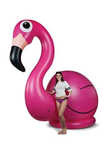 Bigmouth Inc Gigantic Inflatable Pink Flamingo Bigmouth Inc Dp B01f080