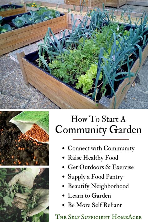 No Place To Grow A Garden Check Out These Steps To Starting A