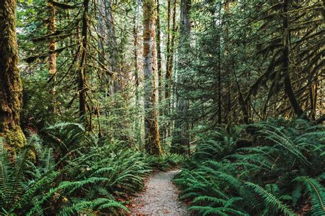 Epic Hikes In North Cascades National Park To Skip