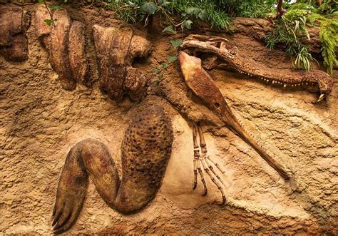 Qu Estudia La Paleontolog A Euroinnova